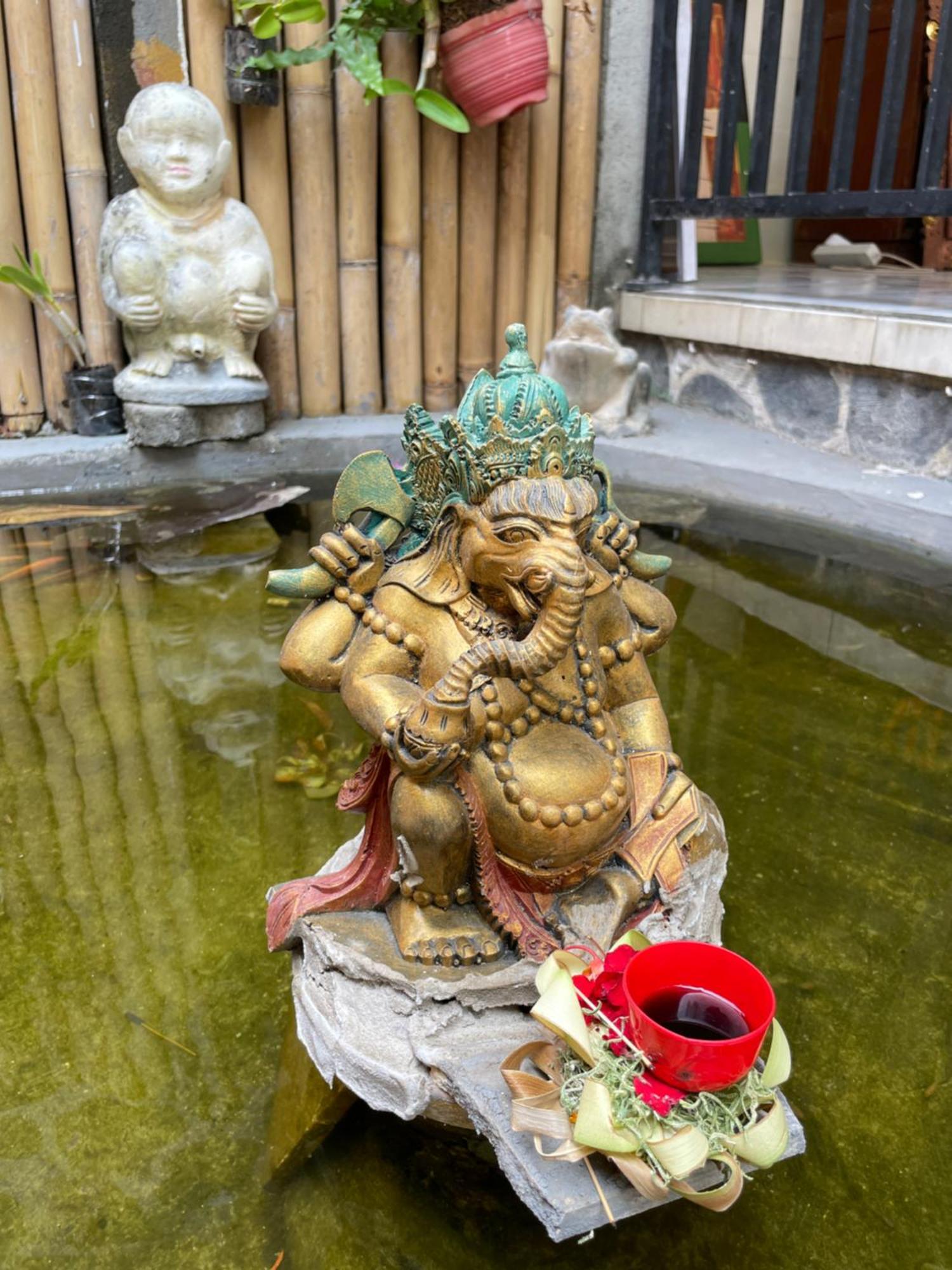 Hotel Kubu Elsa Bali Lovina Zewnętrze zdjęcie